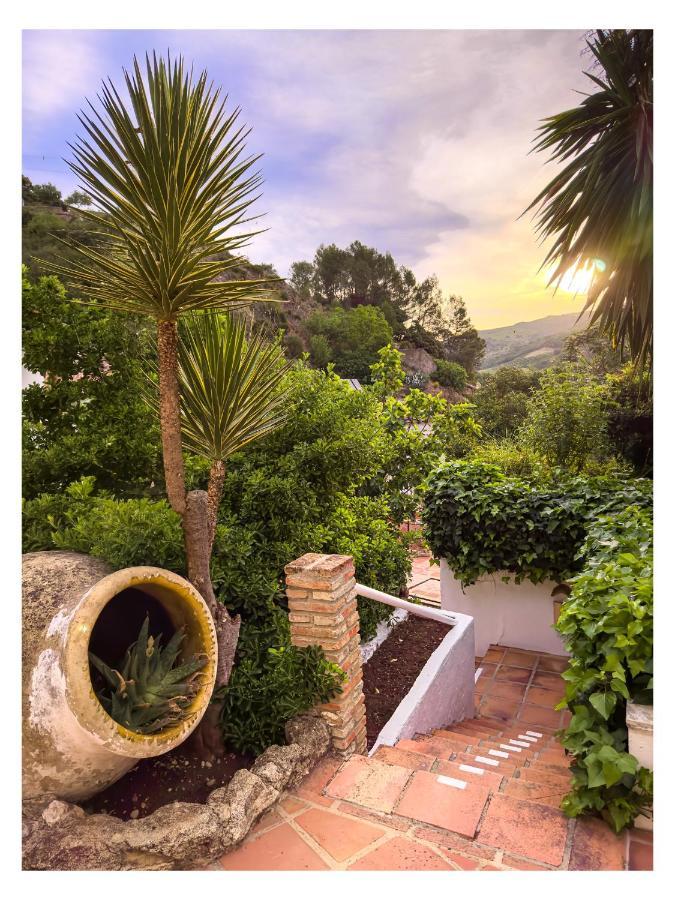 Hotel Molino Del Santo à Benaoján Extérieur photo