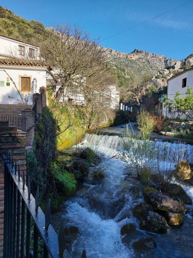 Hotel Molino Del Santo à Benaoján Extérieur photo